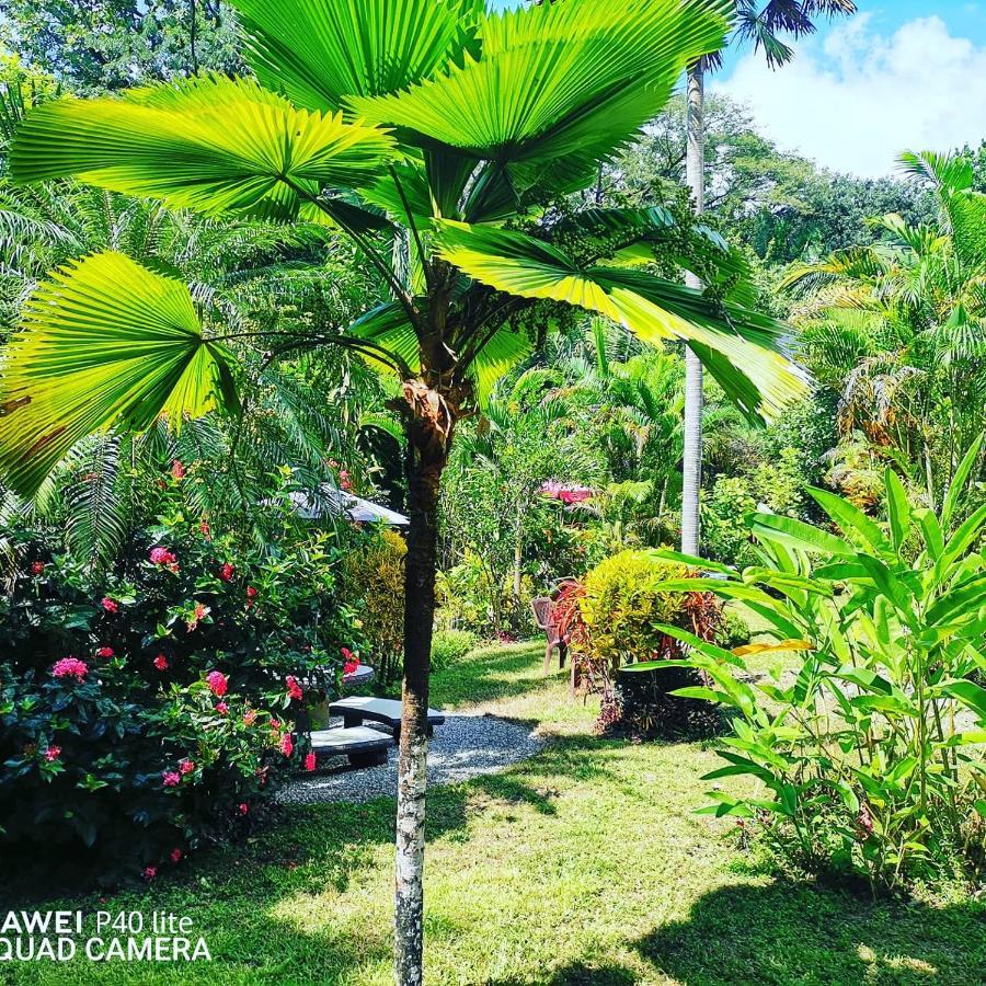 Hotel Belvedere Playa Samara Costa Rica Exterior foto